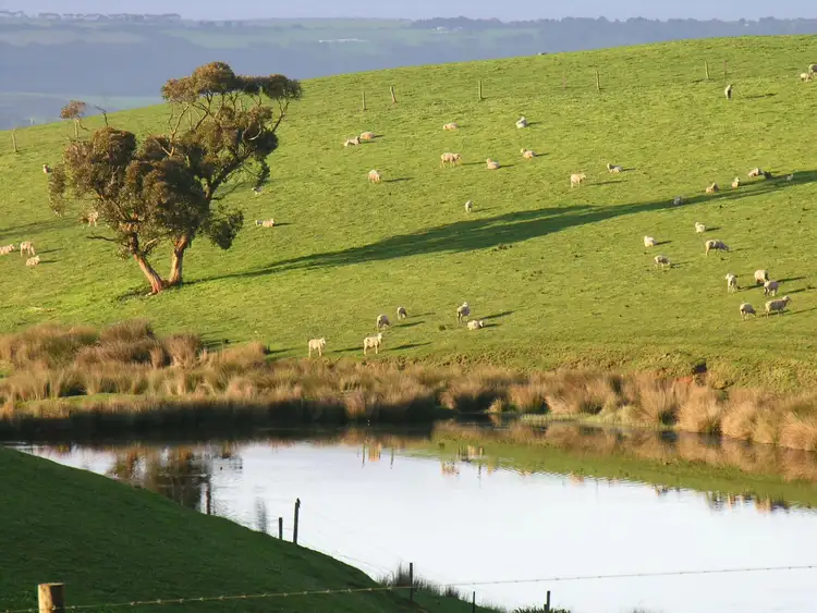 Second view of Homely rural property listing, 771 Springmount Road, Myponga SA 5202