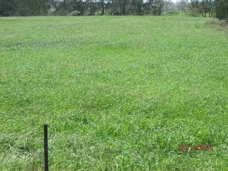 Second view of Homely rural property listing, Address available on request