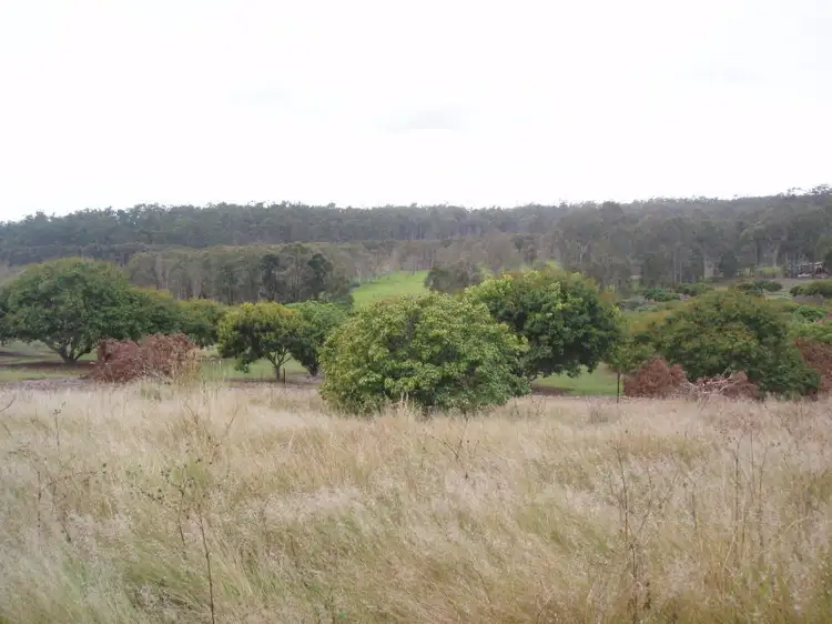 Fifth view of Homely rural property listing, Lot 2 Redbank Road, Tiaro QLD 4650