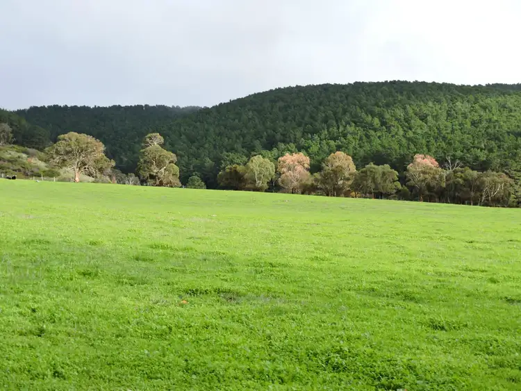Second view of Homely rural property listing, Lot 8 Hay Flat Road St, Hay Flat SA 5204