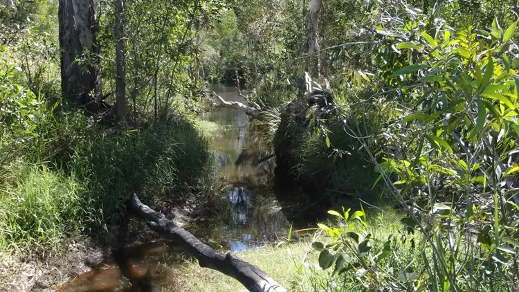 Fourth view of Homely land listing, 359 Railway Road, Booyal QLD 4671
