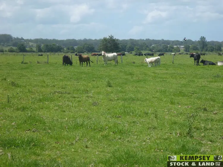 Fourth view of Homely rural property listing, Address available on request