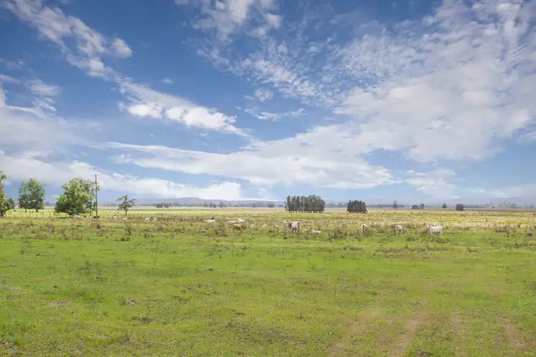 Seventh view of Homely rural property listing, 1775 Pacific Highway, Ulmarra NSW 2462