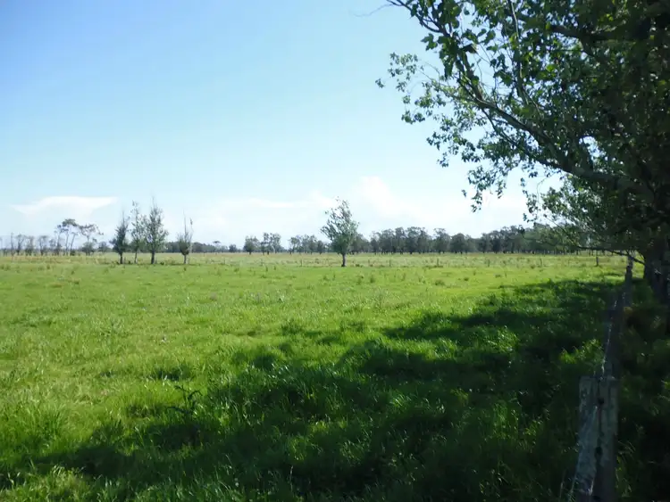 Sixth view of Homely rural property listing, 154 Left Bank Road, Kinchela NSW 2440