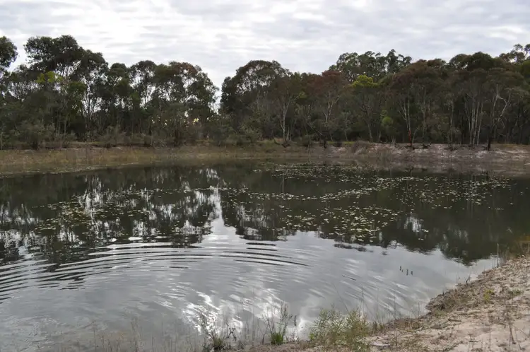 Fourth view of Homely rural property listing, 1114 Rabbit Fence Road, Stanthorpe QLD 4380