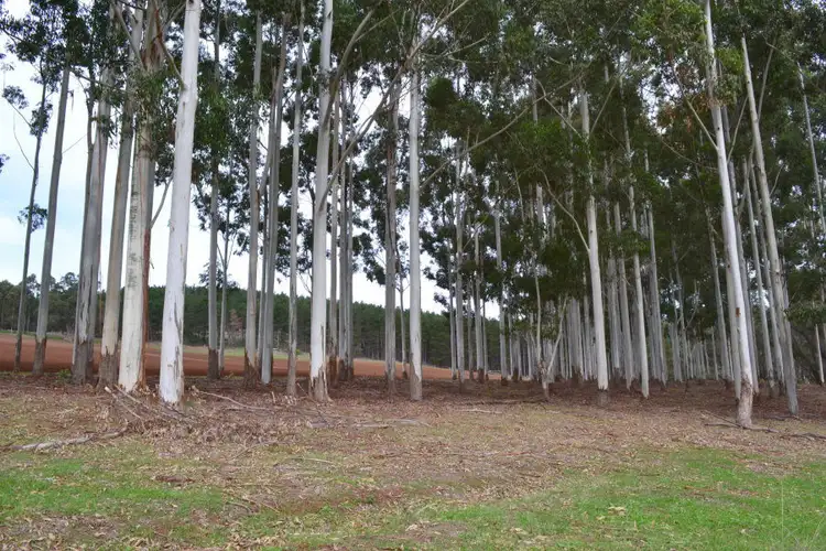 Seventh view of Homely rural property listing, Lot 76 Hawterville Road, Mullalyup WA 6252