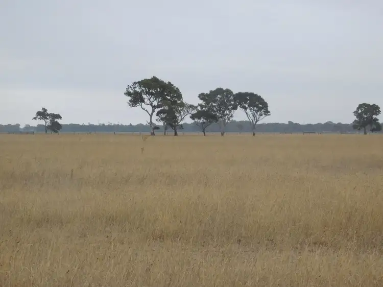 L20 Balnaves Lane, Penola SA 5277