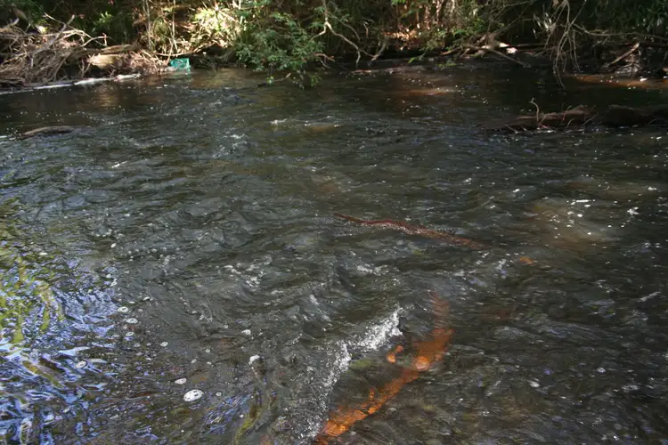 Third view of Homely land listing, L2 Berryman Road, Logans Crossing NSW 2439