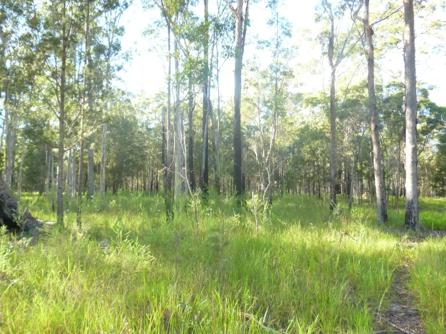 Main view of Homely rural property listing, Address available on request