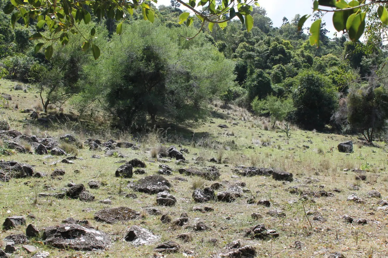 Main view of Homely land listing, Address available on request