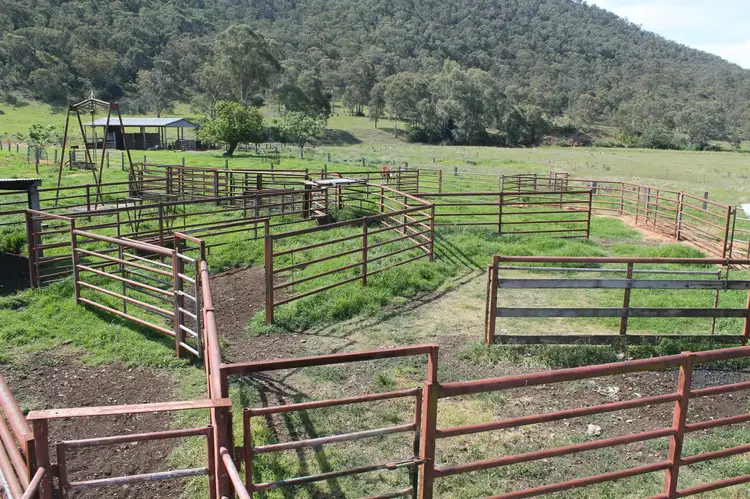 Third view of Homely rural property listing, 361 North Branch Road, Goomburra QLD 4362