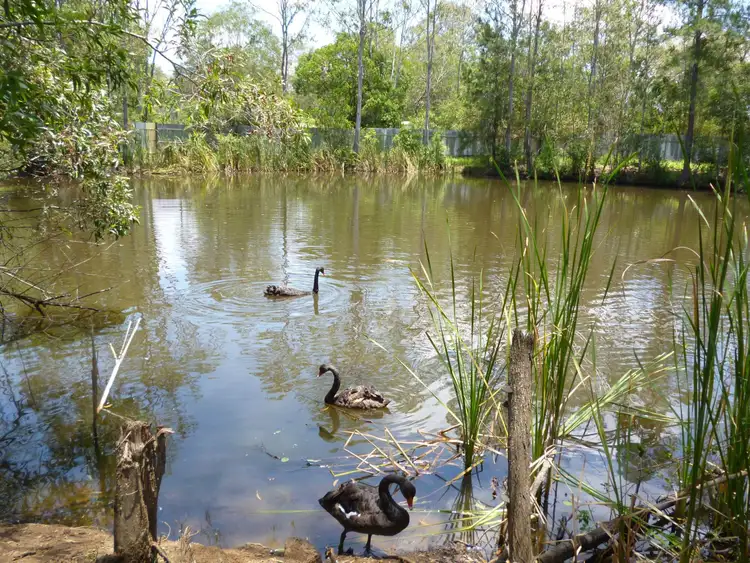 Fourth view of Homely house listing, 322 Old Creek Road, Apple Tree Creek QLD 4660
