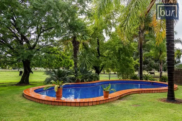 Fourth view of Homely rural property listing, 655 Dights Forest Rd, Table Top NSW 2640