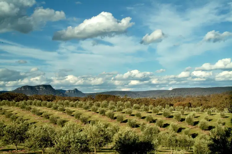 Seventh view of Homely rural property listing, 387 Nevells St, Rylstone NSW 2849