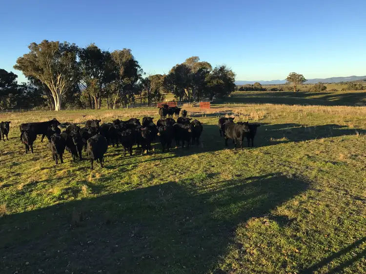 Sixth view of Homely rural property listing, 2162 Aarons Pass Rd, Aarons Pass NSW 2850