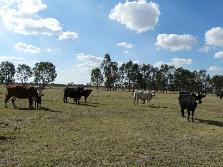 . Lowes Road, Culcairn NSW 2660