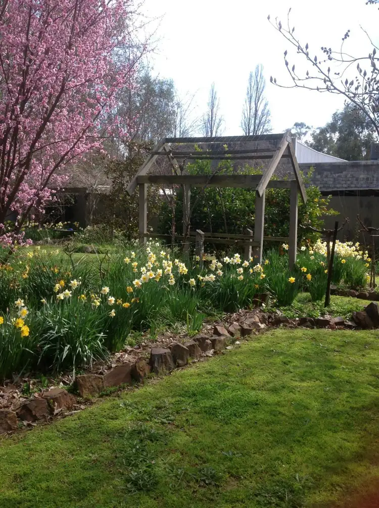 Main view of Homely house listing, 69 Myrtle Street, Myrtleford VIC 3737