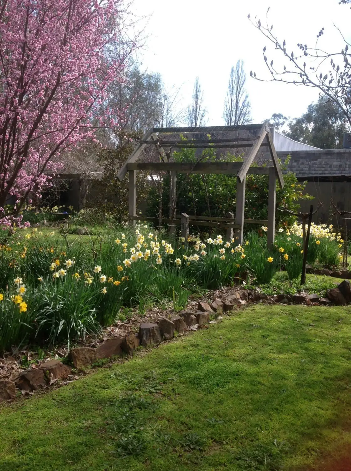 Main view of Homely house listing, 69 Myrtle Street, Myrtleford VIC 3737