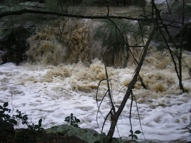 Seventh view of Homely rural property listing, Home Hills Home Hills Road, Rylstone NSW 2849