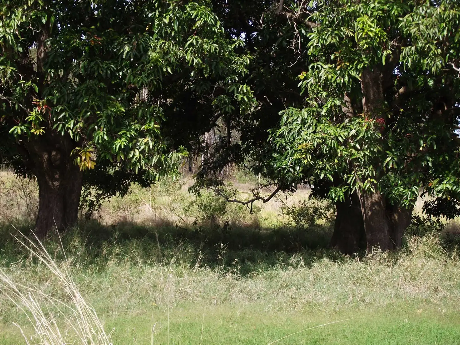 Main view of Homely rural property listing, Address available on request