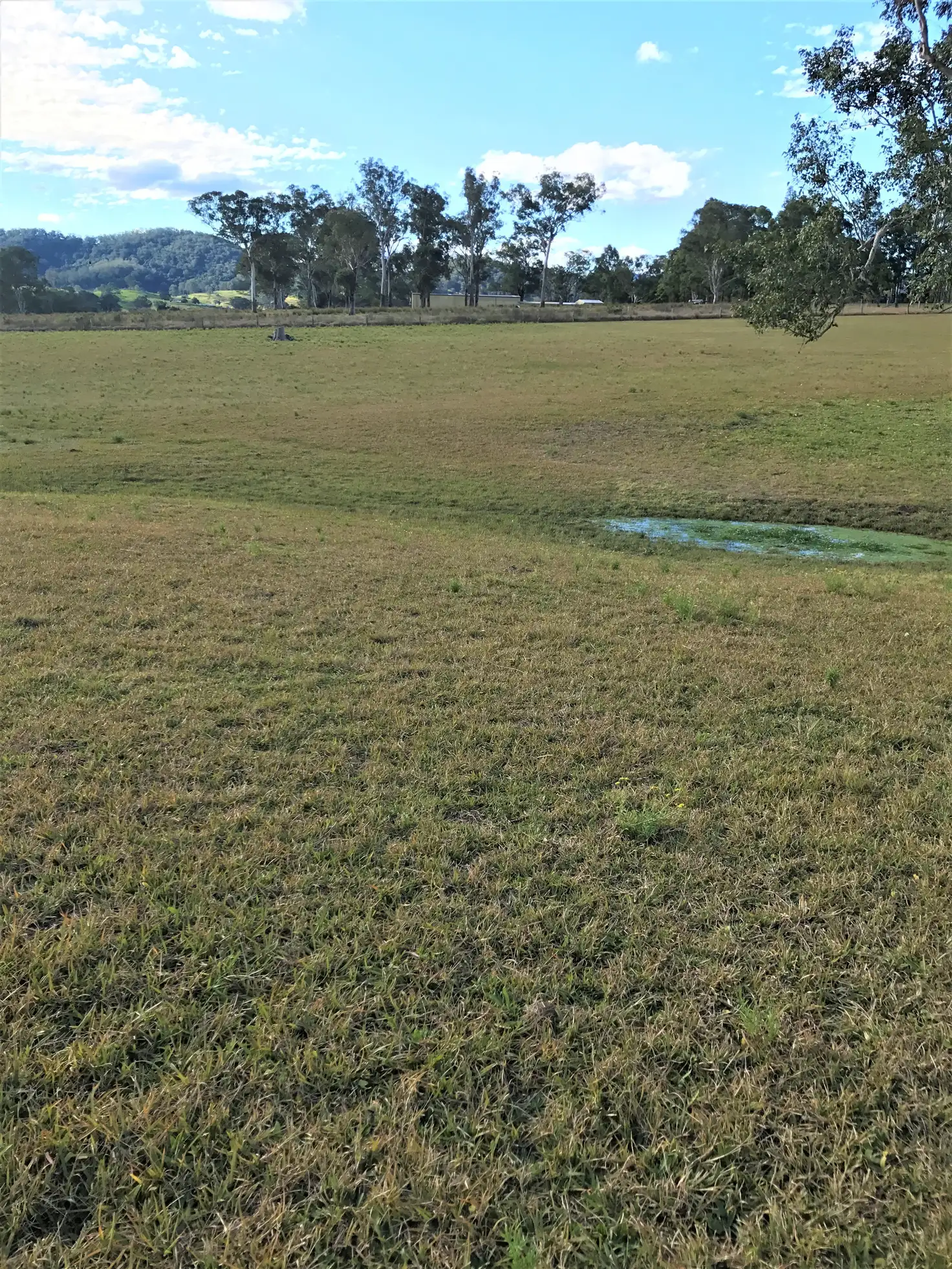 Main view of Homely land listing, Lot 51 Peebles Street, Barrington NSW 2422