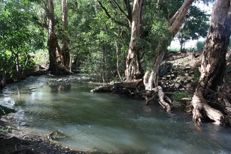 Second view of Homely land listing, 51 Crees Road, Port Douglas QLD 4877
