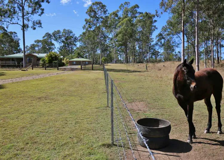 Third view of Homely rural property listing, 231 Thornside Road, Widgee QLD 4570
