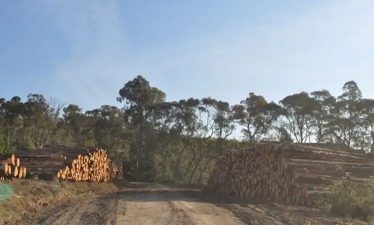 Third view of Homely rural property listing, . Murray Valley Highway, Koetong VIC 3704
