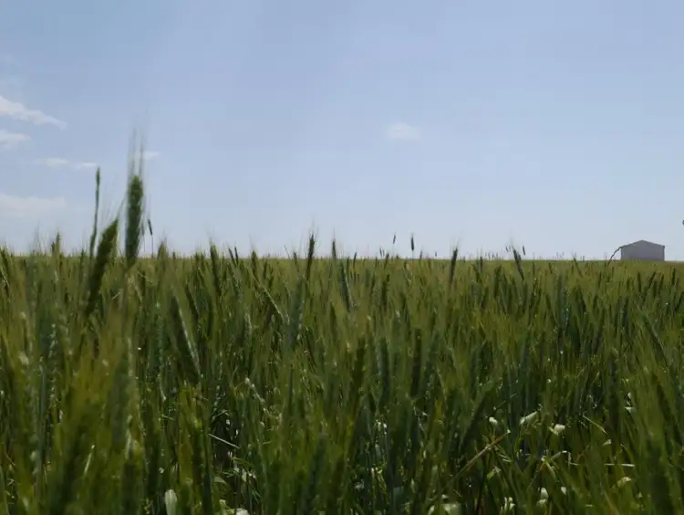 Sixth view of Homely land listing, L10 Johnson Road, Maitland SA 5573