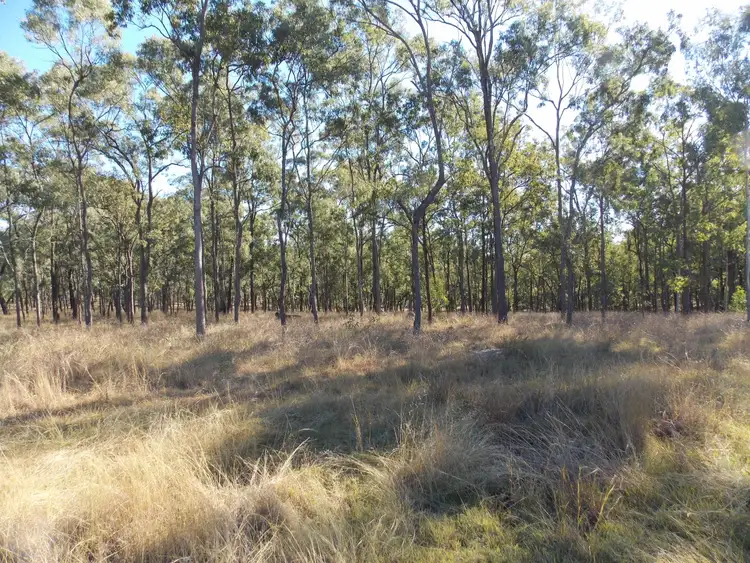Fifth view of Homely rural property listing, 369 Greys Plains Rd, Merryvale QLD 4340
