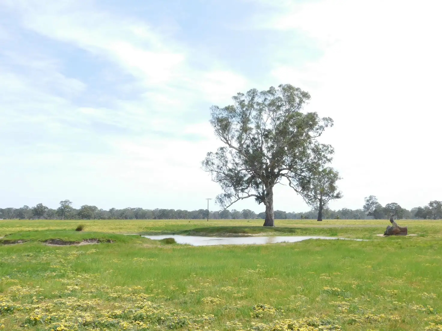 Main view of Homely land listing, Lot 5 Casterton Road, Penola SA 5277