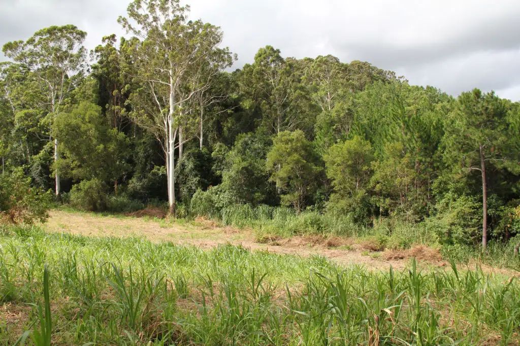 Main view of Homely land listing, Address available on request
