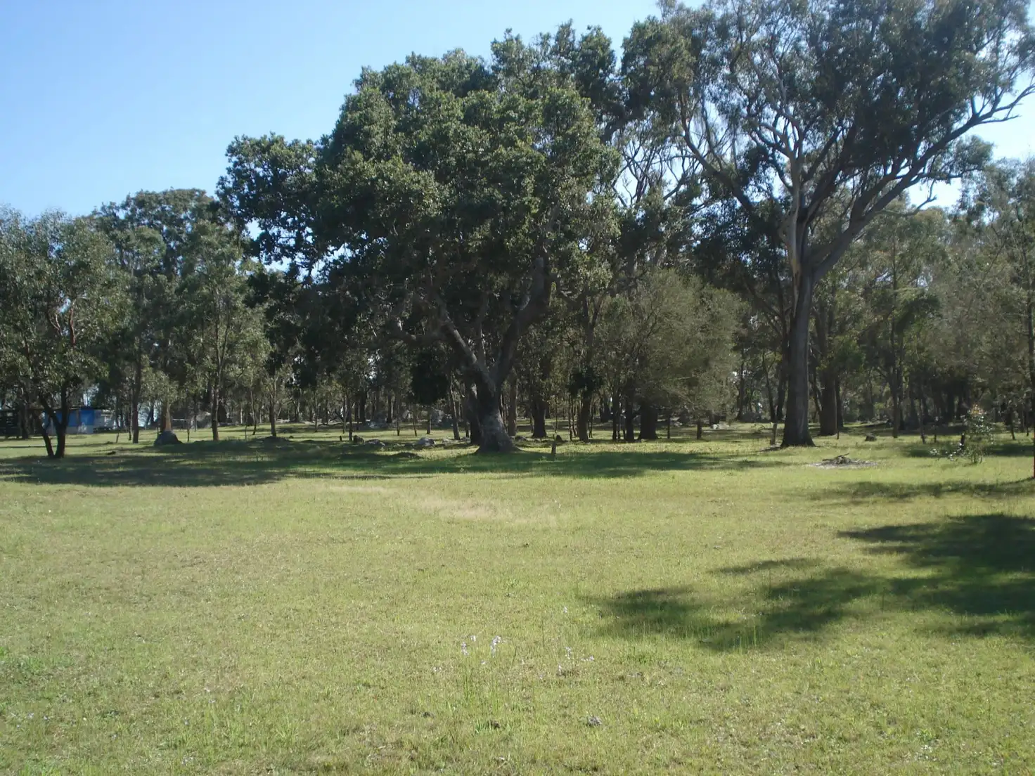 Main view of Homely land listing, Lot 5 McKechnie Road, Stanthorpe QLD 4380