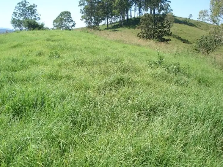 Fifth view of Homely rural property listing, 496 Iron Pot Creek Road, Kyogle NSW 2474
