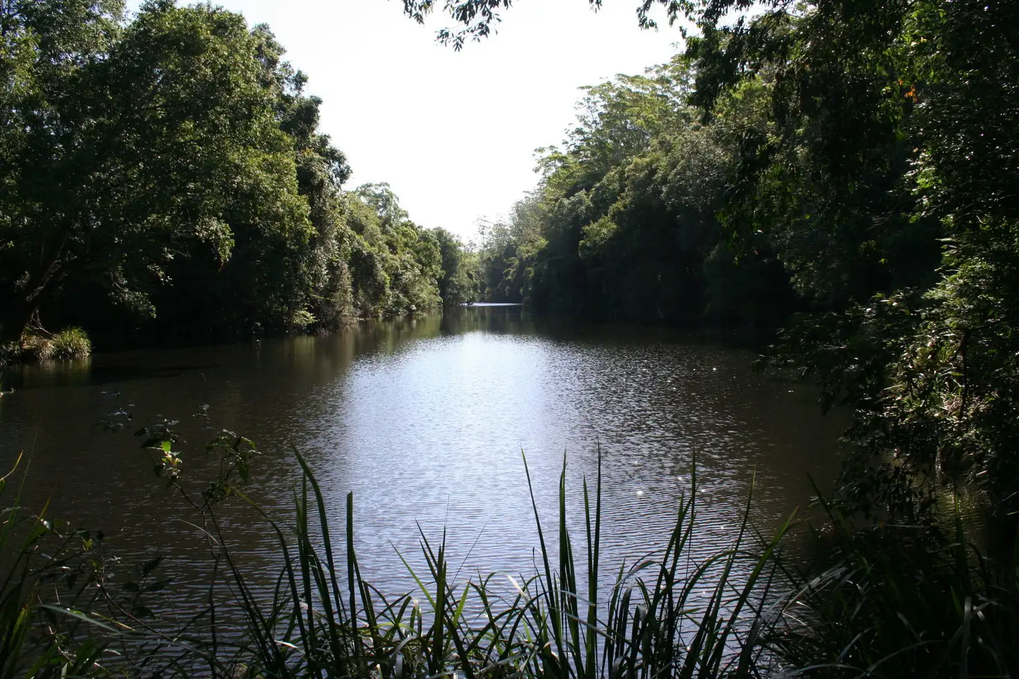 Main view of Homely land listing, L2 Berryman Road, Logans Crossing NSW 2439