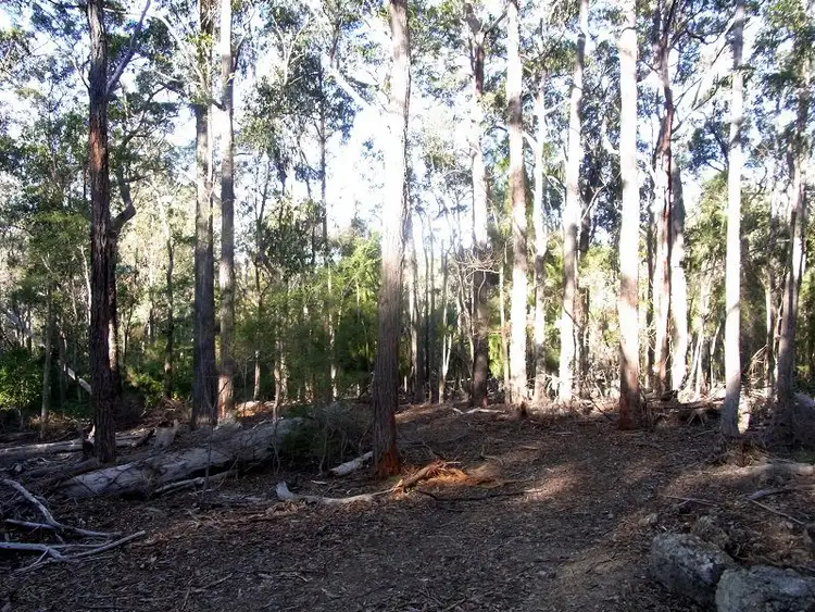 Fifth view of Homely rural property listing, L89 Oaklands Road, Pambula NSW 2549