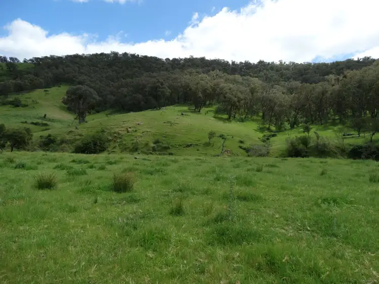 Seventh view of Homely rural property listing, Address available on request