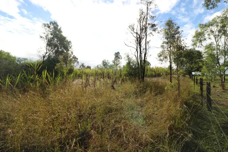 Sixth view of Homely land listing, 494 Butchers Road, South Isis QLD 4660