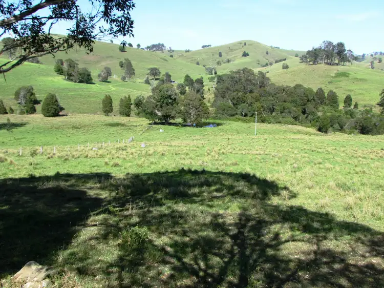 Fourth view of Homely rural property listing, 730 Bunyah Road, Bunyah NSW 2429