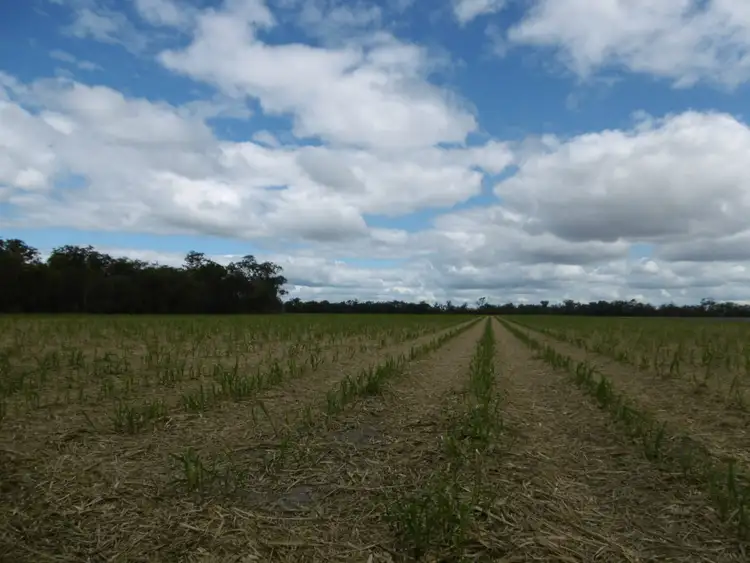Third view of Homely rural property listing, 430-514 Foleys Road, North Isis QLD 4660