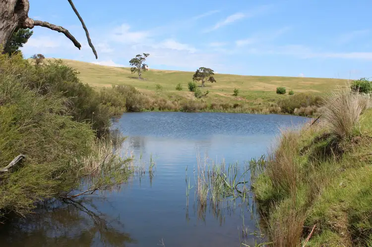 Main view of Homely rural property listing, L30T Grahams Track, Lancefield VIC 3435