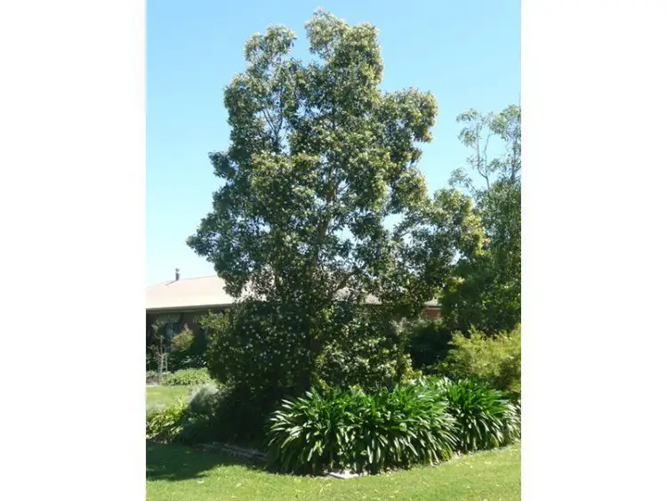 Fourth view of Homely rural property listing, 1919 Great Alpine Road, Everton VIC 3678