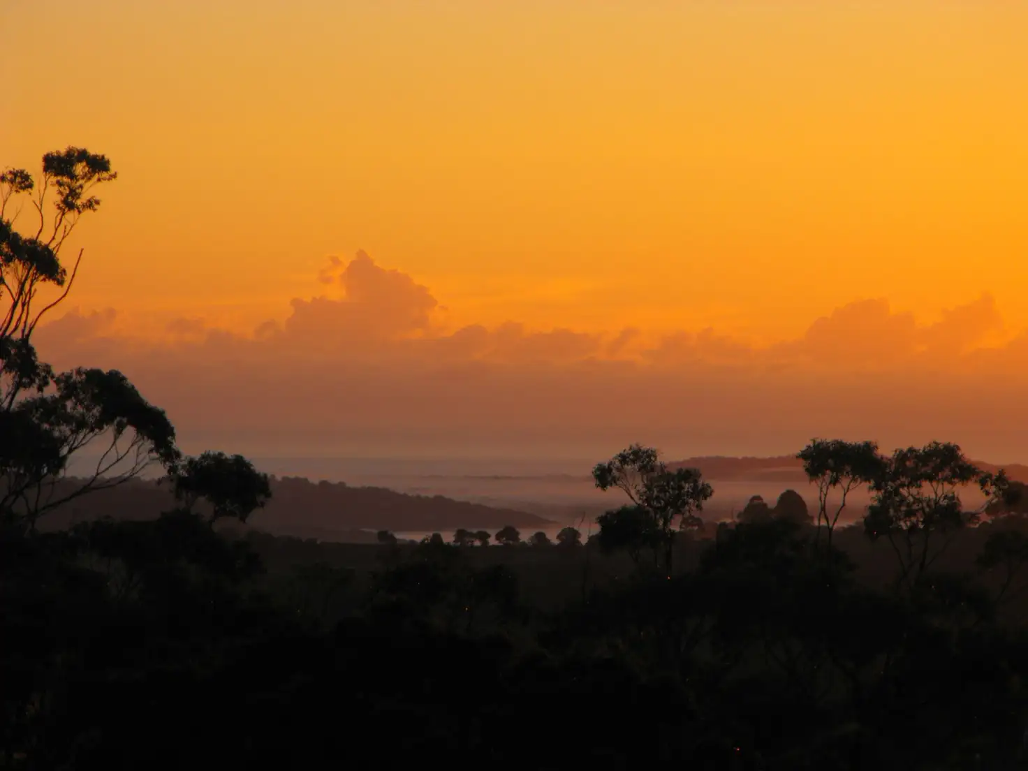 Main view of Homely house listing, 35 Ensbey Road, Flaxton QLD 4560