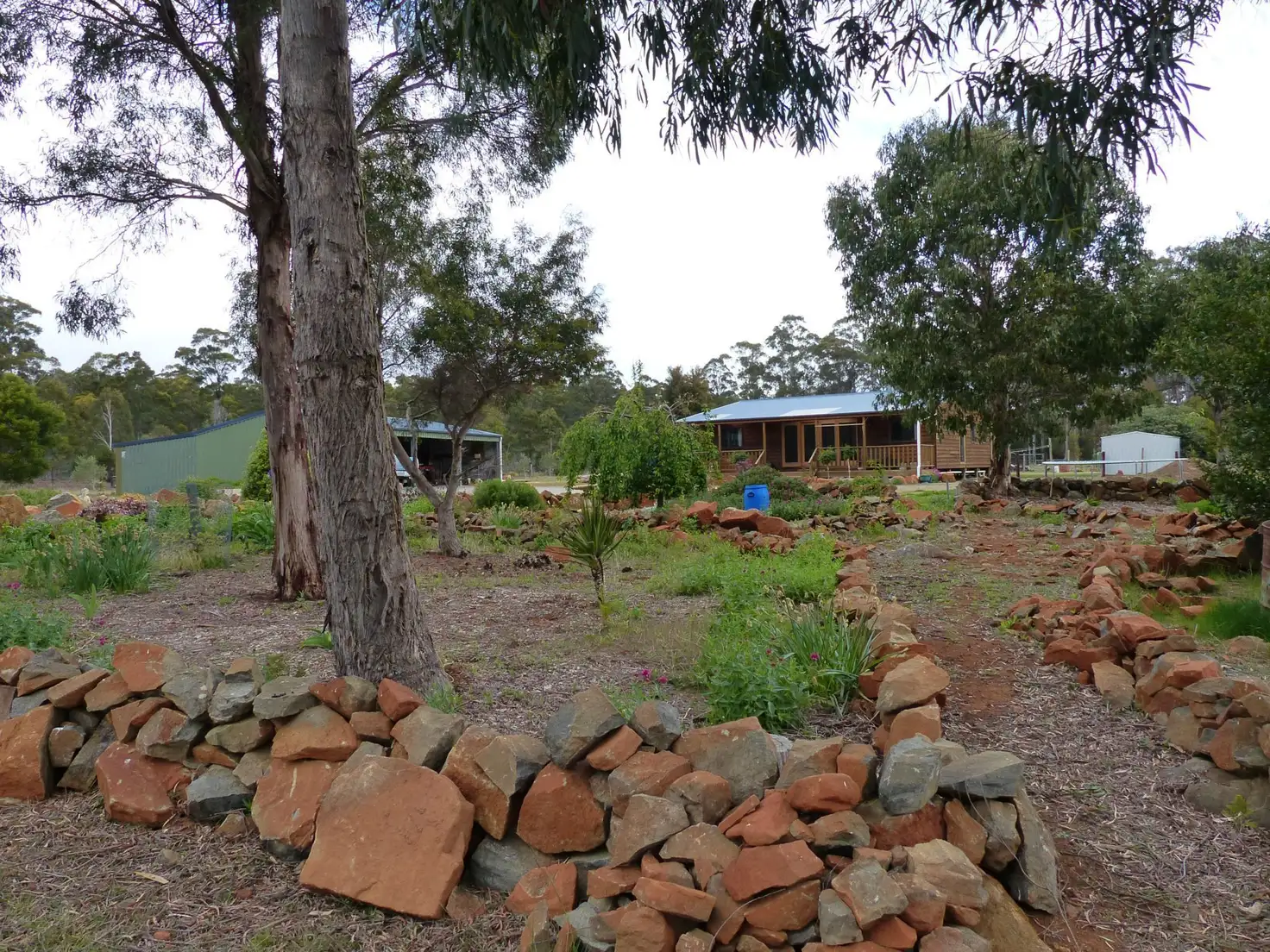 Main view of Homely rural property listing, 156 Saddlers Run Road, Reedy Marsh TAS 7304