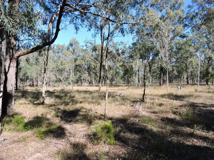 Seventh view of Homely rural property listing, Lot 78 Tralee Road, Pratten QLD 4370