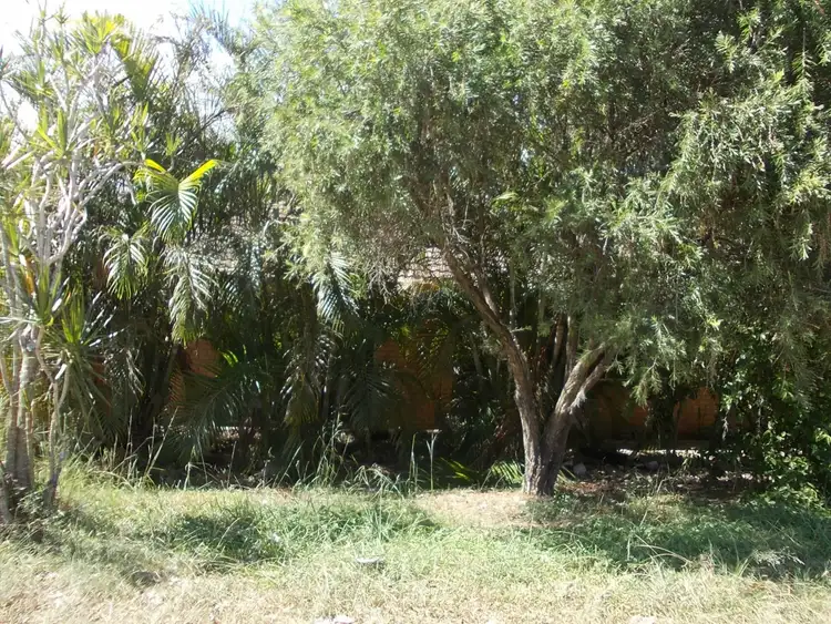 Fourth view of Homely house listing, 7 McCosker Street, Riverview QLD 4303
