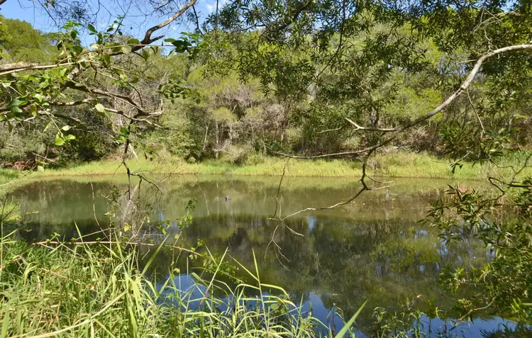 Sixth view of Homely rural property listing, 1021 Tin Can Bay Road, Canina QLD 4570