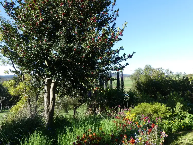 Fourth view of Homely house listing, 99 Coxs Rd, Red Hills TAS 7304