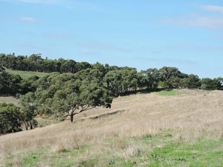 Seventh view of Homely rural property listing, Lot 23 Forktree Road, Wattle Flat SA 5203
