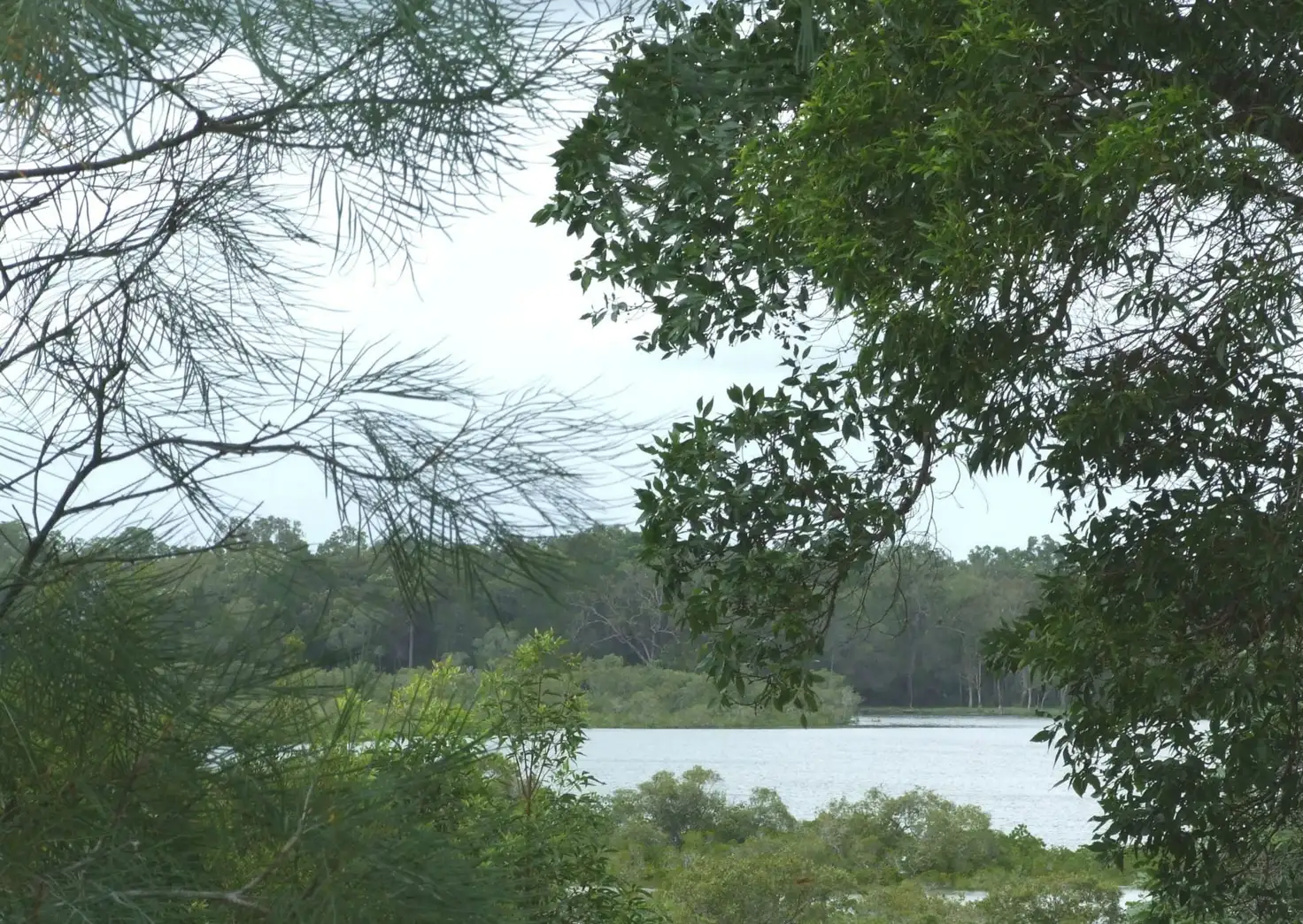 Main view of Homely house listing, 25 Boronia Drive, Poona QLD 4650